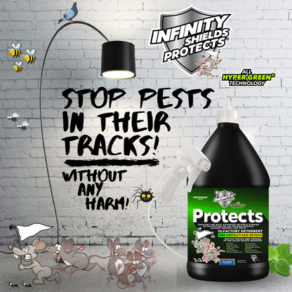 Infinity Shields Protects | Rodent Deterrent Spray | Hyper Green | Long-Lasting 128oz Jug Remote Sprayer Peppermint | Case of 4