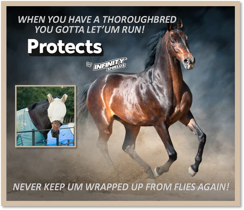 Infinity Shields Protects Hit The Equestrian Sceen In The War Against Flies