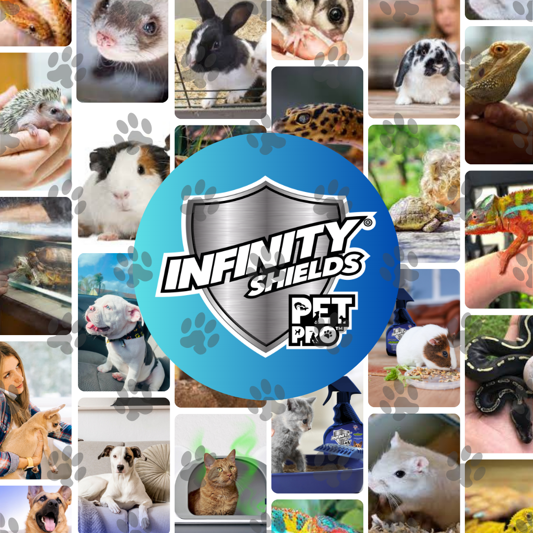 Infinity Shields® Pet Pro™ | Détachant d'odeurs et de taches | Empêche la re-salissure | 1 gallon Fresh &amp; Clean) Caisse de 4 carafes