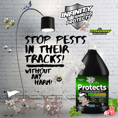 Infinity Shields protege™ | Spray disuasivo de roedores | Hiperverde | Menta de larga duración de 1 galón | Compre 10 cajas y obtenga 5 cajas gratis Jarras de 60 (1) galones en total
